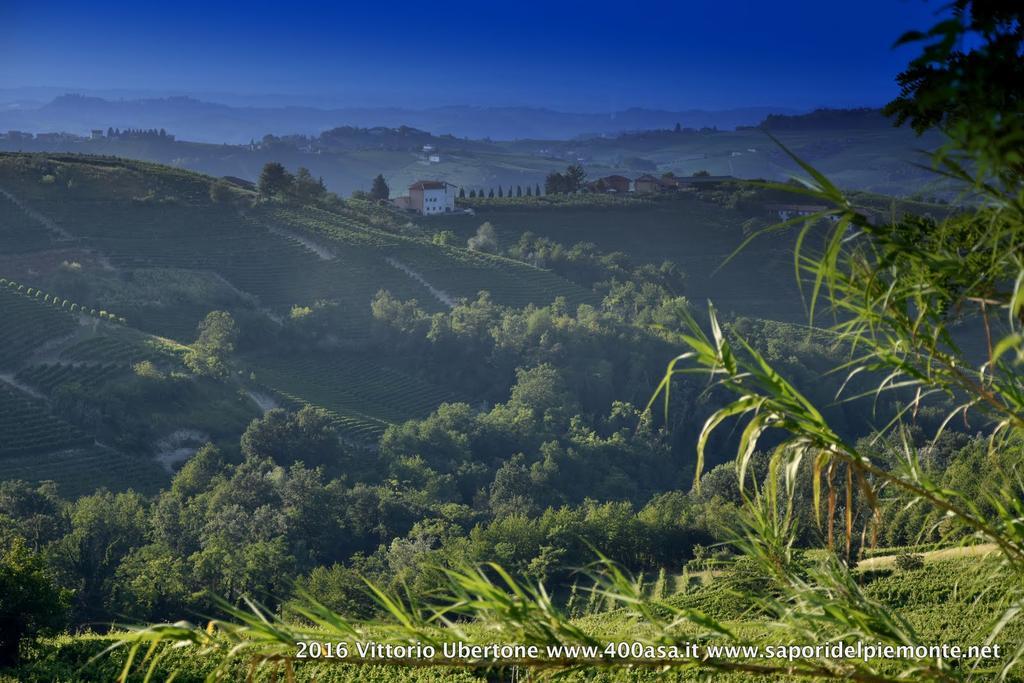Azienda Agricola Simone Cerruti - Moscateria Villa Castiglione Tinella Exteriör bild