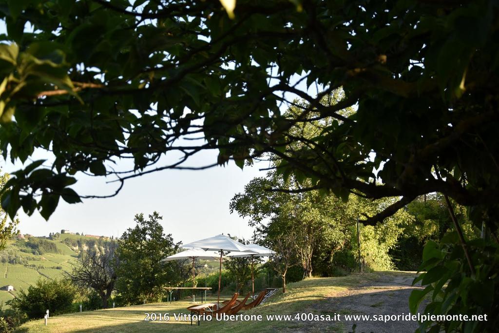 Azienda Agricola Simone Cerruti - Moscateria Villa Castiglione Tinella Exteriör bild