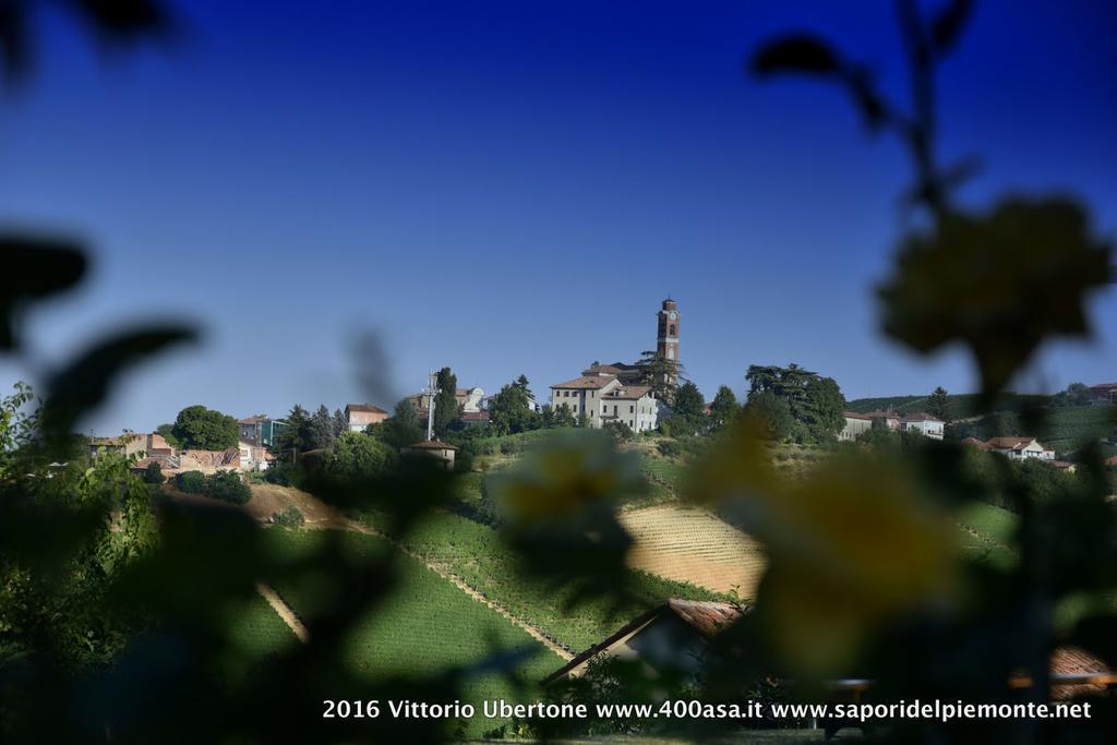 Azienda Agricola Simone Cerruti - Moscateria Villa Castiglione Tinella Exteriör bild