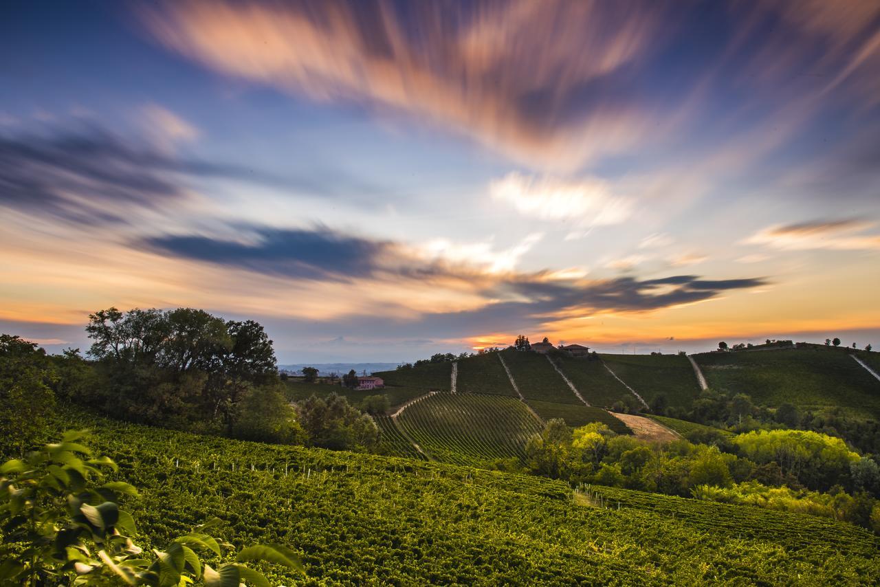 Azienda Agricola Simone Cerruti - Moscateria Villa Castiglione Tinella Exteriör bild